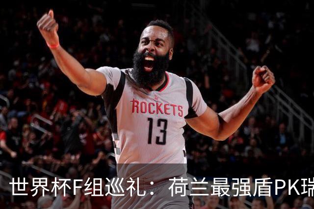 世界杯F组巡礼：荷兰最强盾PK瑞典犀利刀 日本短板明显