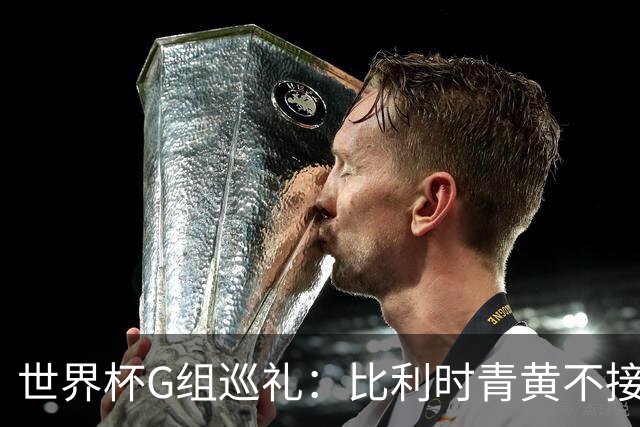 世界杯G组巡礼：比利时青黄不接 伊朗赴美参赛风波不断