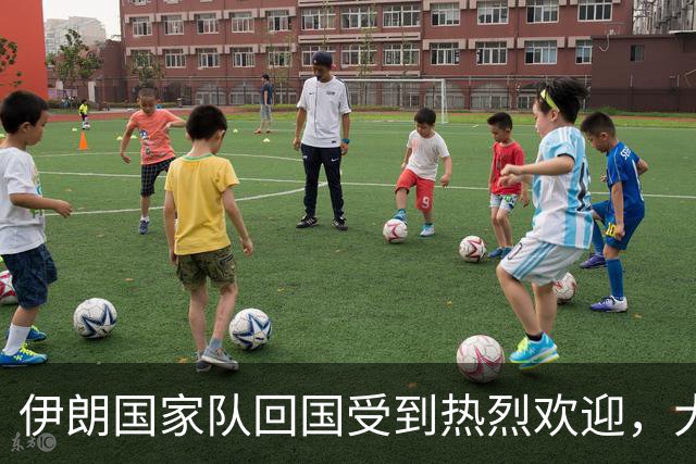 伊朗国家队回国受到热烈欢迎，大批球迷接机