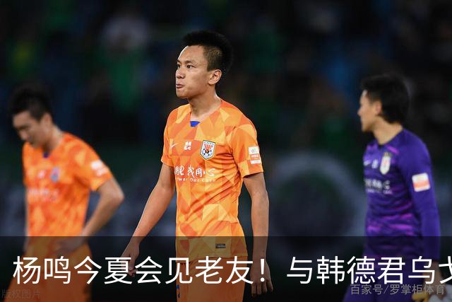 杨鸣今夏会见老友！与韩德君乌戈聚餐超开心，搭档哈德森参加活动