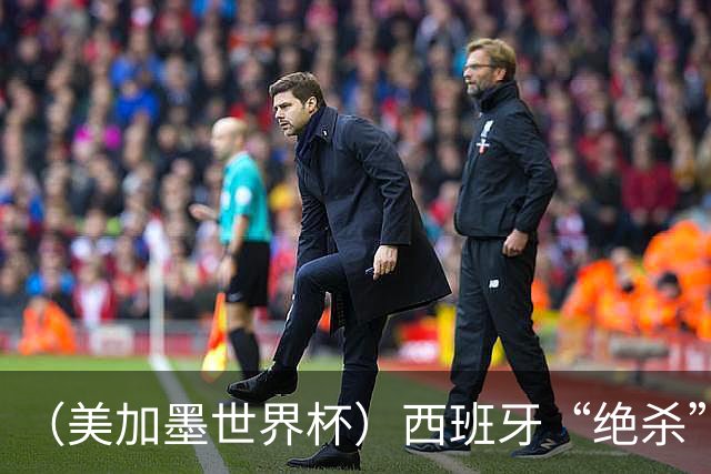 （美加墨世界杯）西班牙“绝杀”比利时 时隔16年重返四强